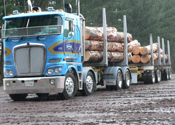 B and P Hermansen Logging 