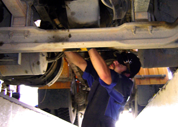 DB Breweries Limited 