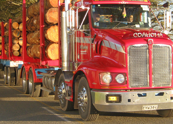 McCarthy Transport Limited 