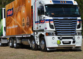 Talley’s Group Limited 