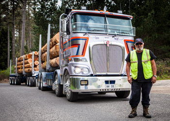 Williams & Wilshier Ltd 