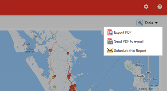 NZ Driver Safety Report PDF Export