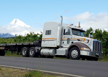 F.V. Martin Trucking Co.