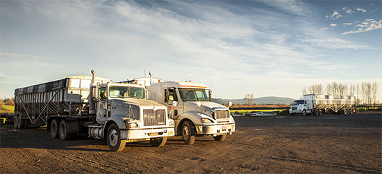 US Products Whites Hauling