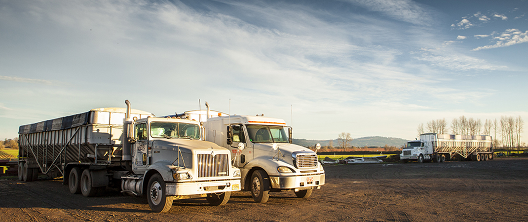 White's Hauling & Farm